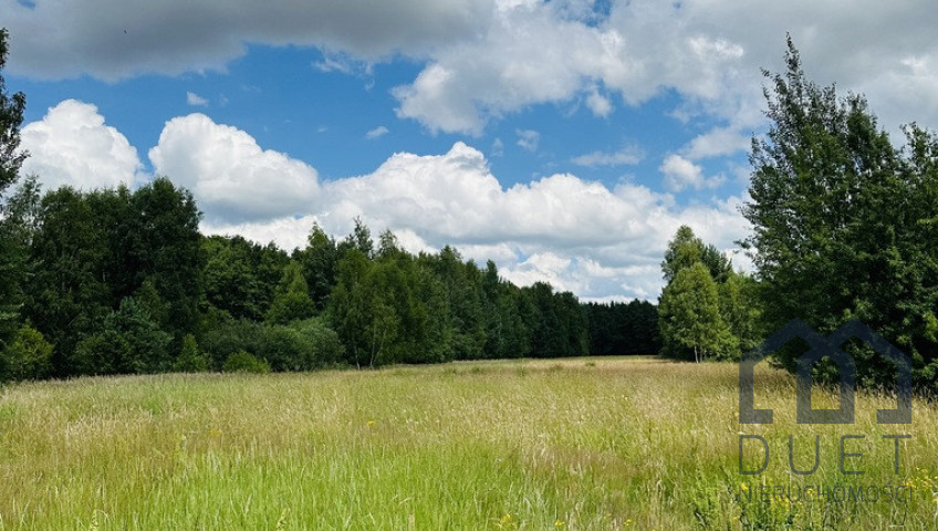 Działka Sprzedaż Tończa