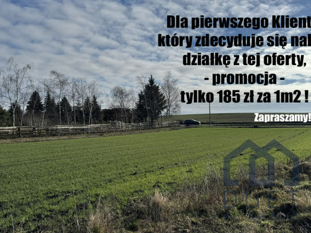 Promocja cenowa dla pierwszego Klienta!!!